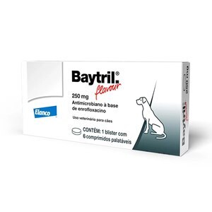 Baytril Flavour 250mg com 6 Comprimidos