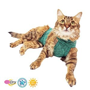 ROUPA PÓS CIRÚRGICA PARA GATO DUO DRY  - VERDE TAMANHO 5