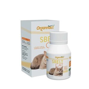 Suplemento Alimentar Organnact Cat Sbelt  40ml