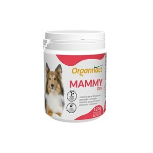 Suplemento Alimentar Organnact Mammy  120g