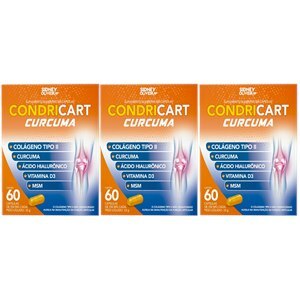 COLÁGENO TIPO II + CURCUMA + ÁCIDO HIALURÔNICO + VITAMINA D3 + MSM CONDRICART CÚRCUMA 60 CÁPSULAS S.O - 3 UNIDADES